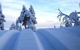 Hytte fra 1721 i naturskjønne omgivelser