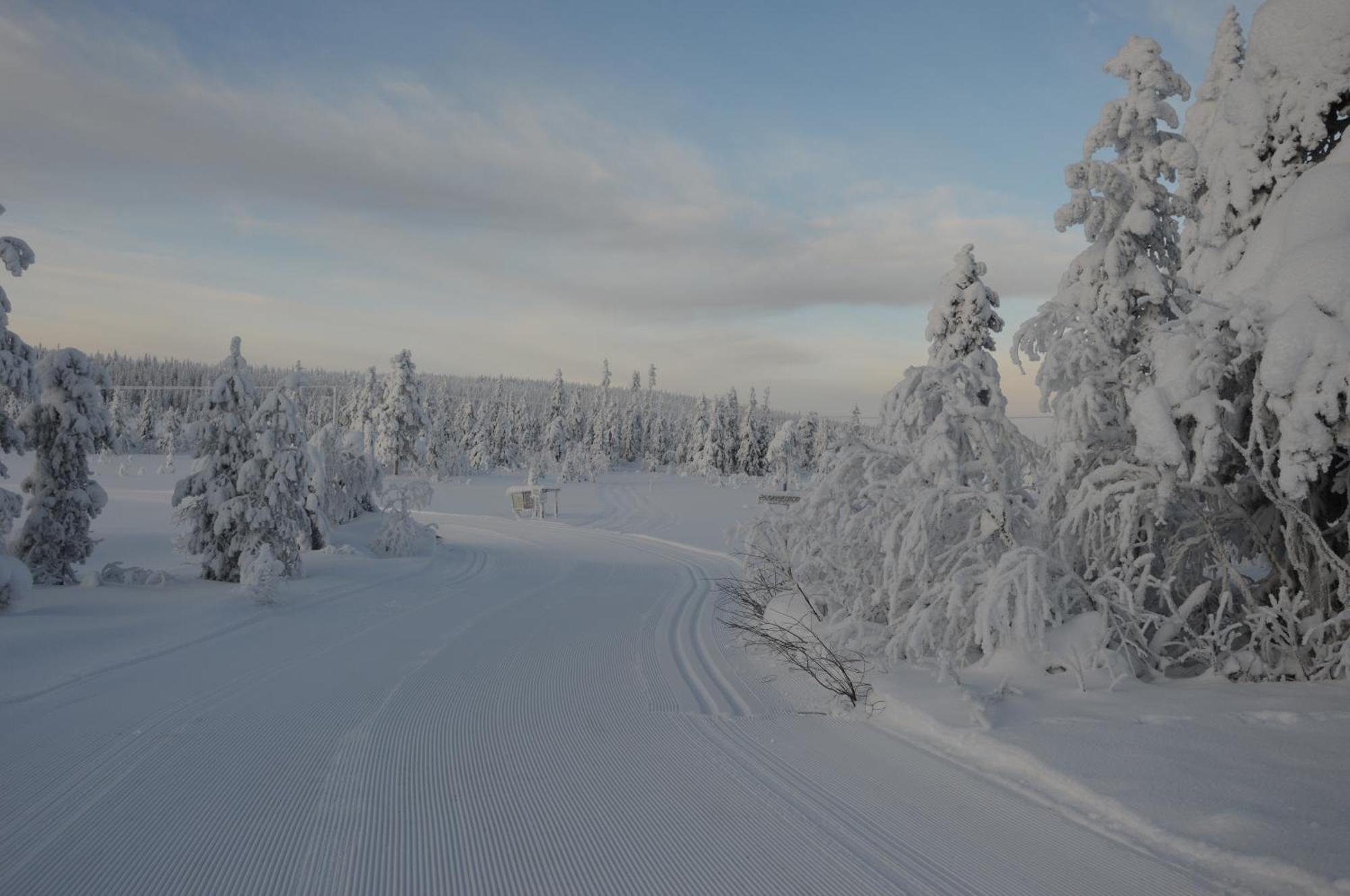Hytte fra 1721 i naturskjønne omgivelser Ljørdal Eksteriør bilde