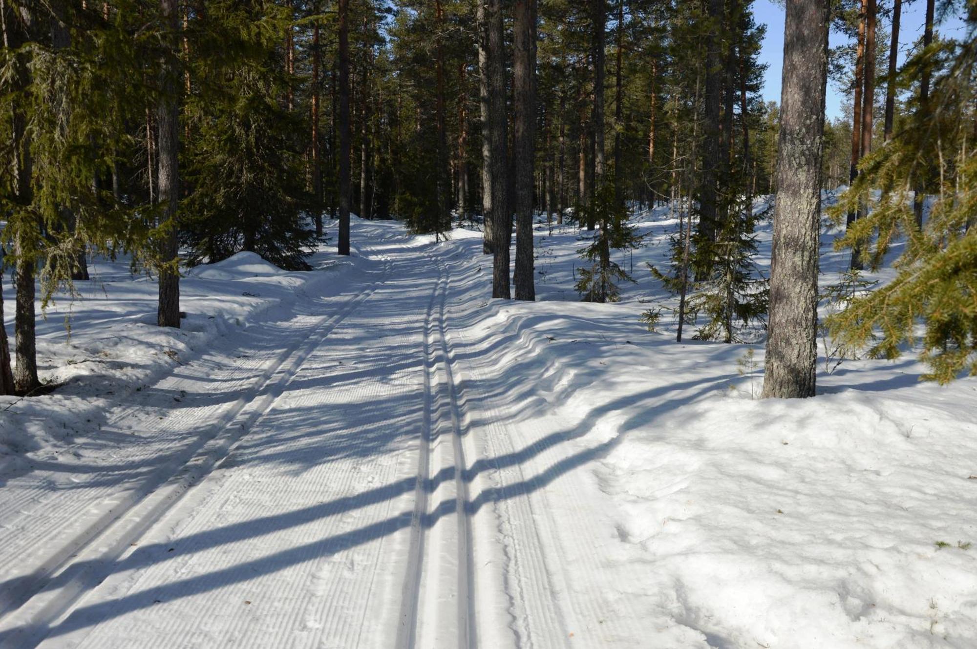 Hytte fra 1721 i naturskjønne omgivelser Ljørdal Eksteriør bilde