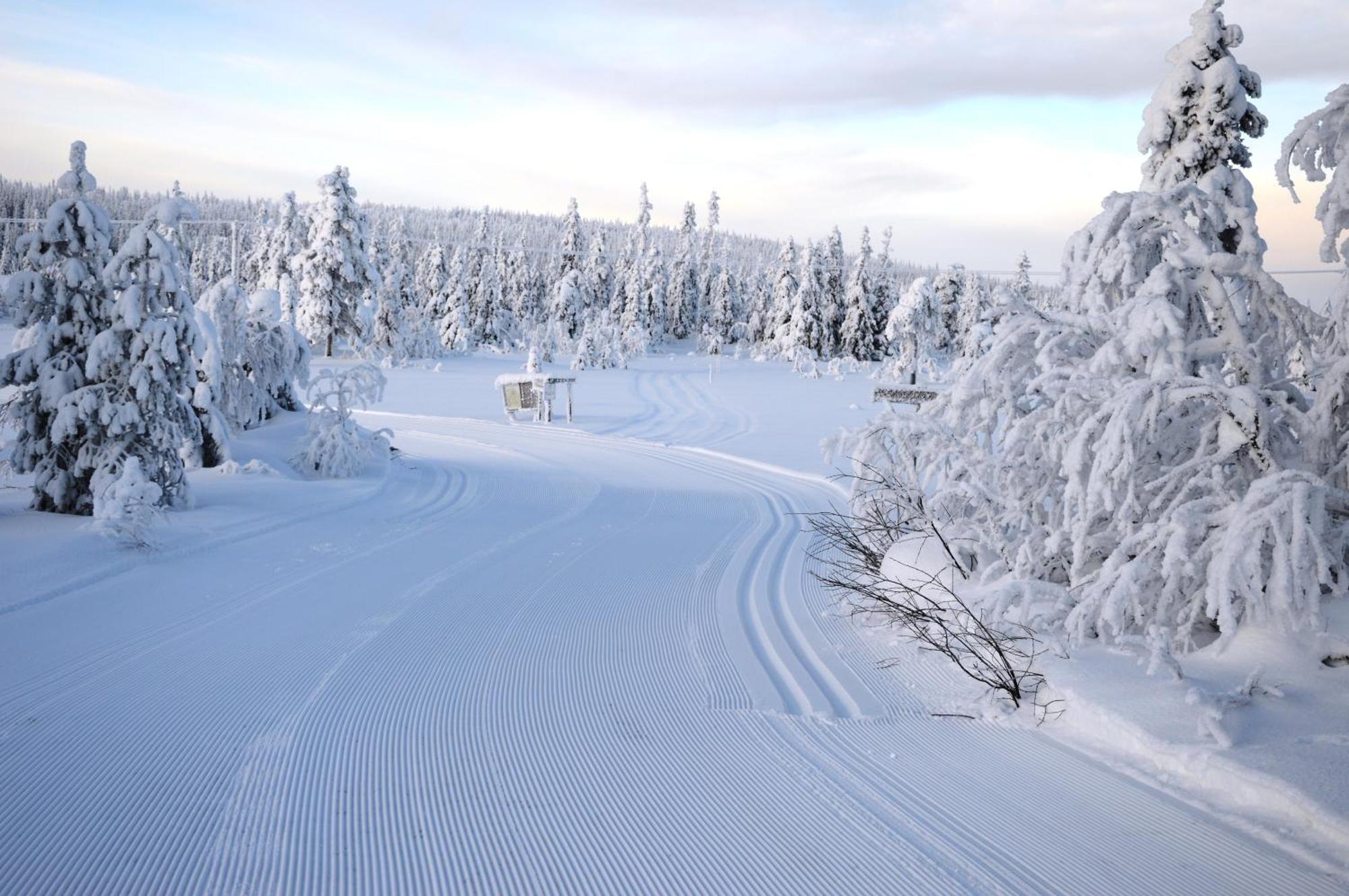 Hytte fra 1721 i naturskjønne omgivelser Ljørdal Eksteriør bilde