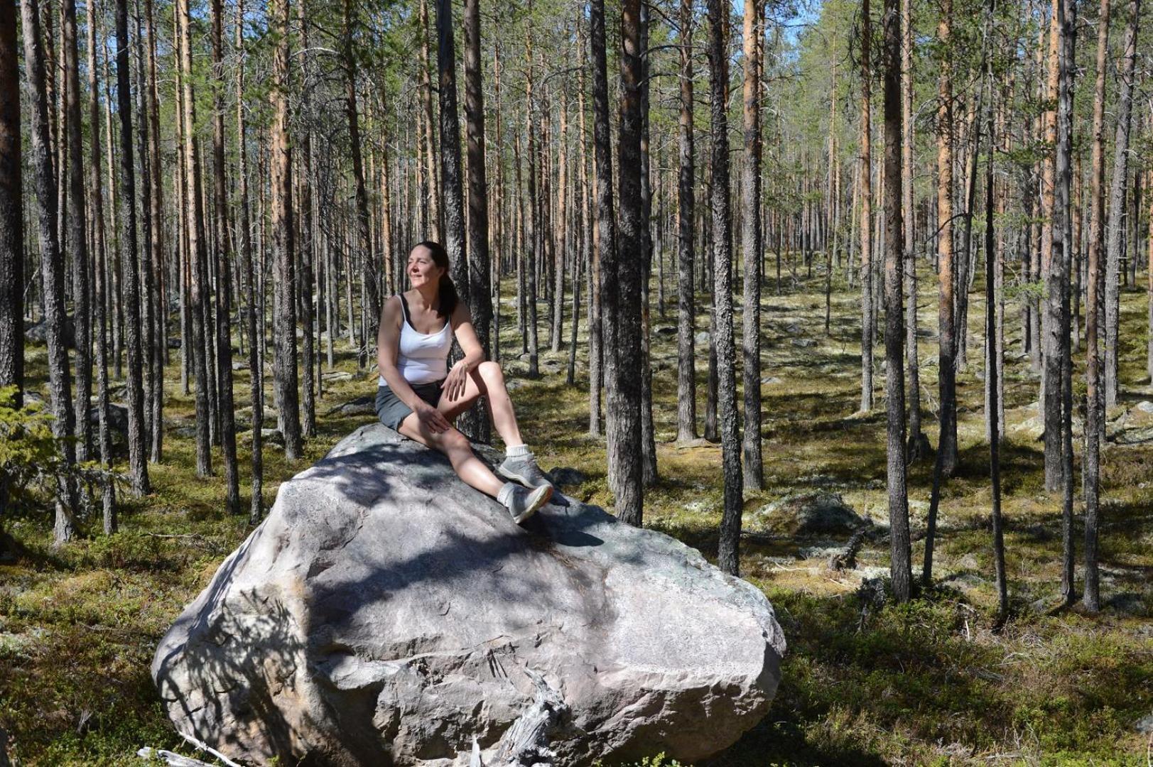 Hytte fra 1721 i naturskjønne omgivelser Ljørdal Eksteriør bilde
