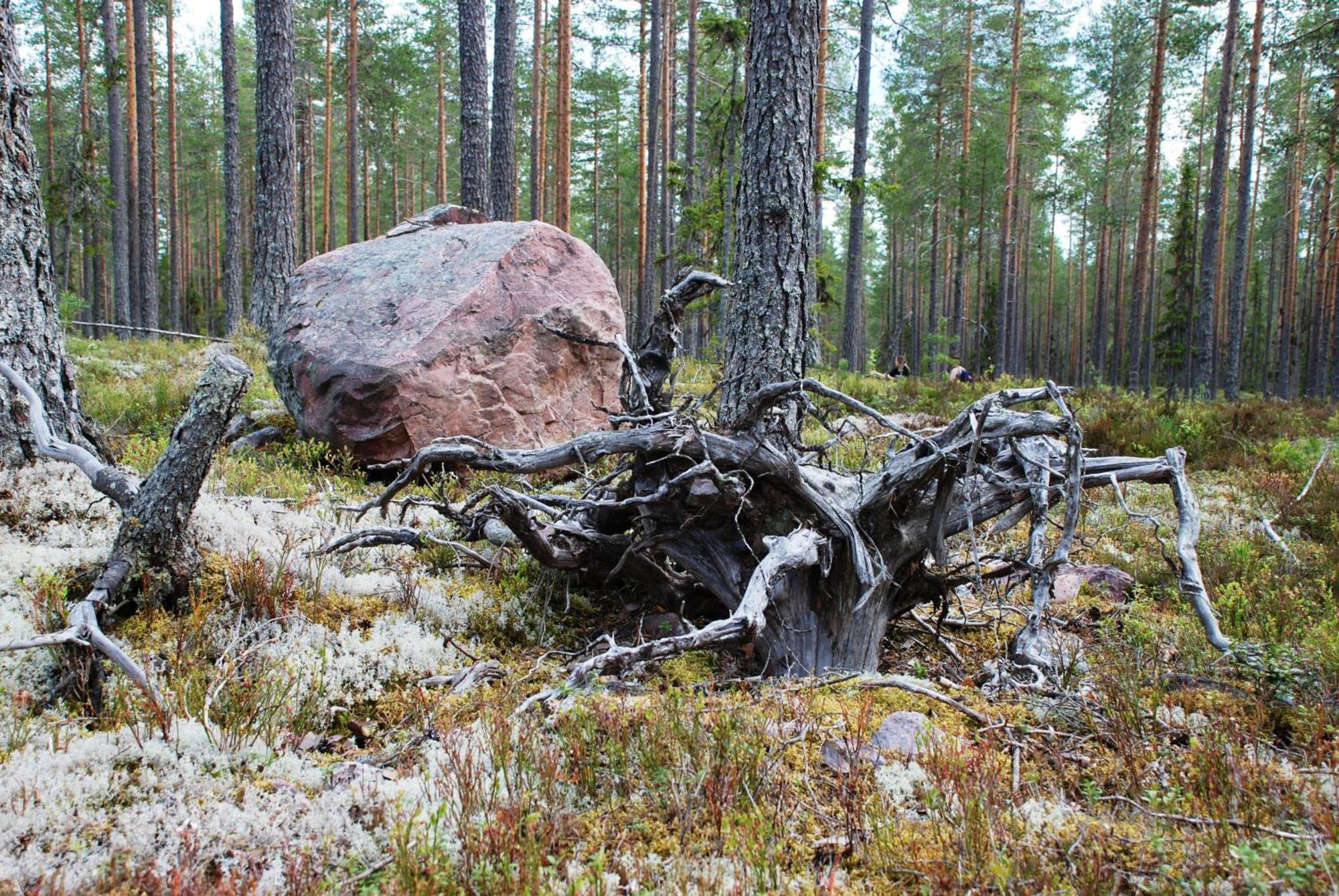 Hytte fra 1721 i naturskjønne omgivelser Ljørdal Eksteriør bilde