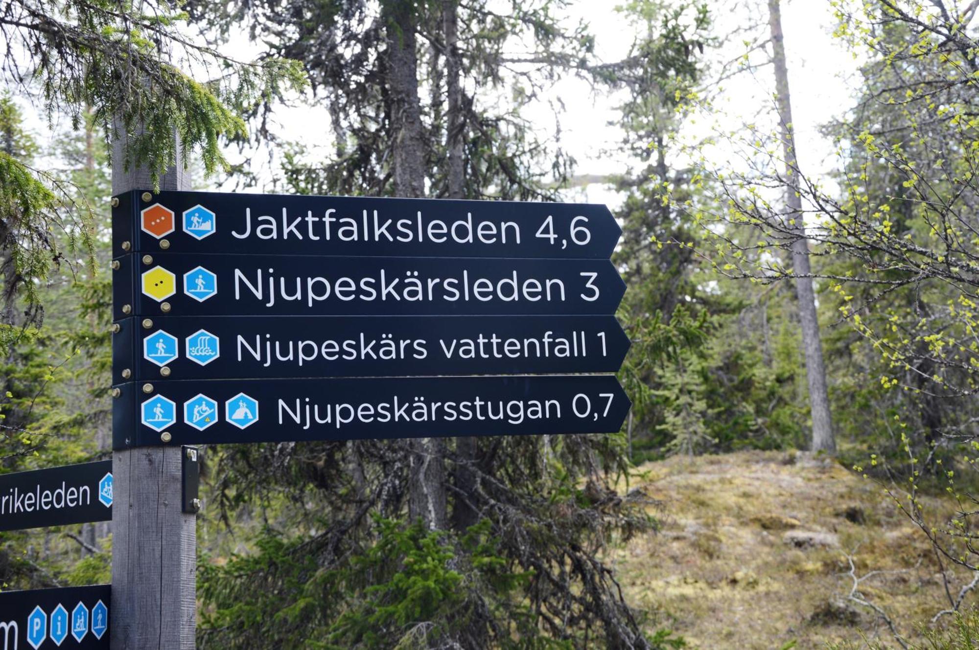 Hytte fra 1721 i naturskjønne omgivelser Ljørdal Eksteriør bilde
