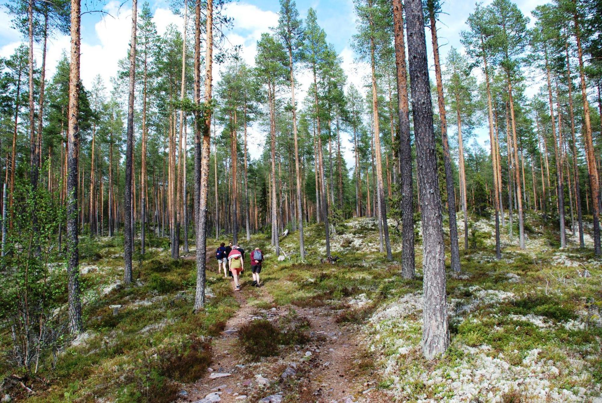 Hytte fra 1721 i naturskjønne omgivelser Ljørdal Eksteriør bilde