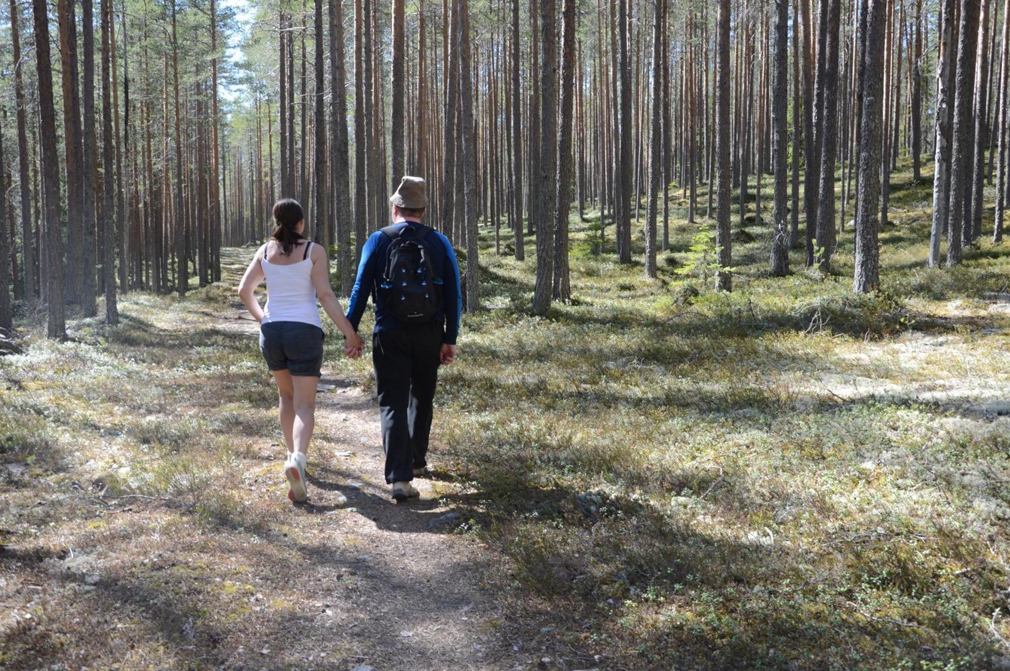 Hytte fra 1721 i naturskjønne omgivelser Ljørdal Eksteriør bilde