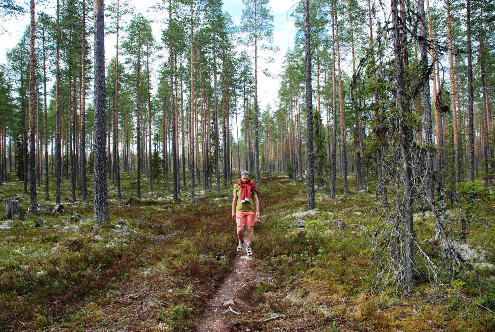 Hytte fra 1721 i naturskjønne omgivelser Ljørdal Eksteriør bilde