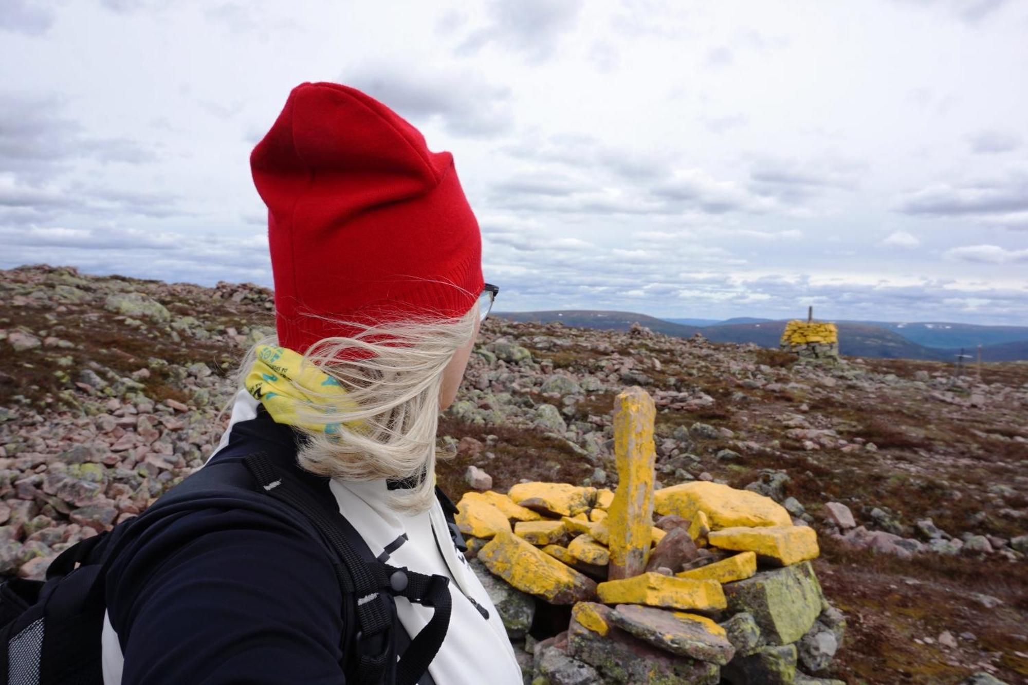Hytte fra 1721 i naturskjønne omgivelser Ljørdal Eksteriør bilde