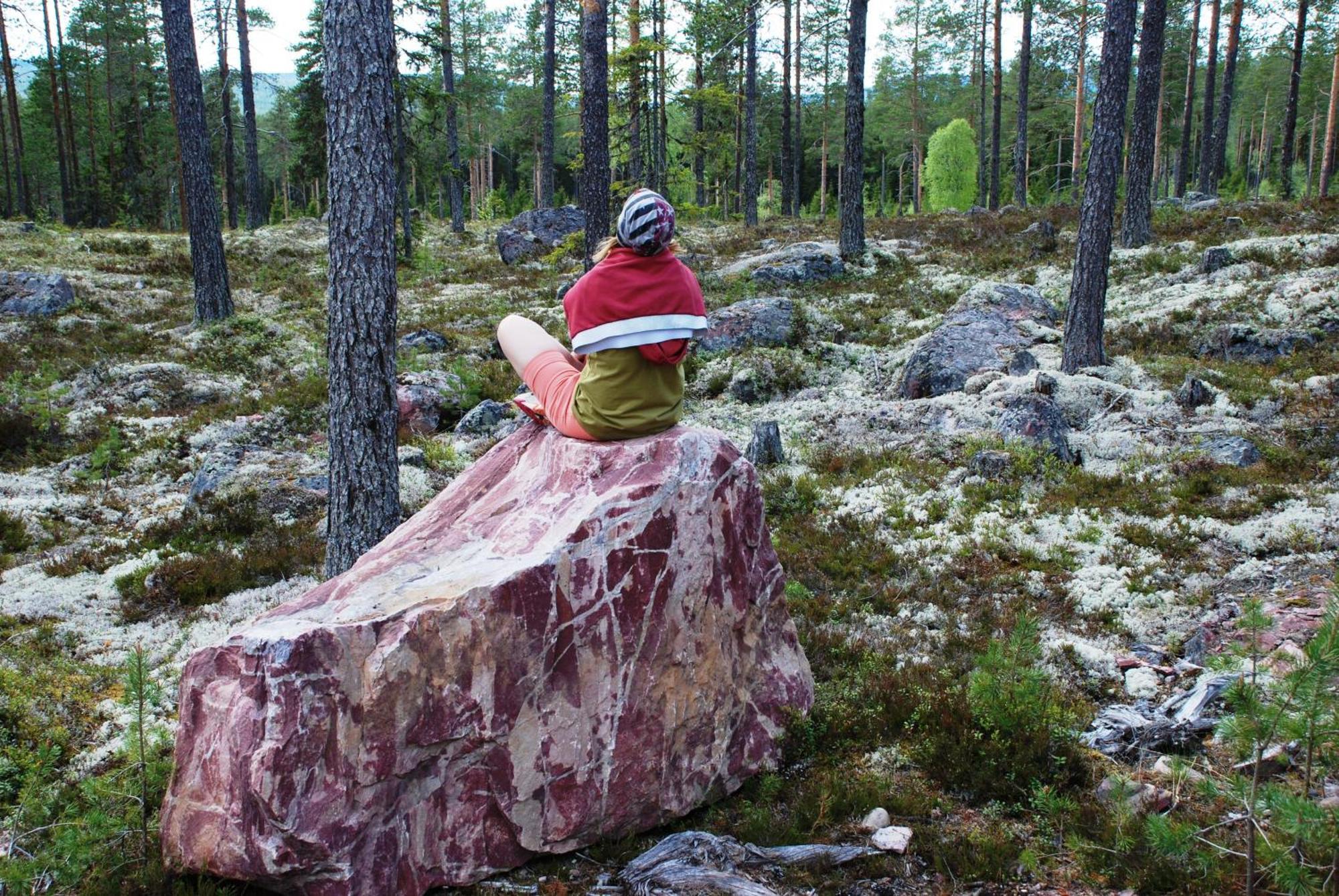 Hytte fra 1721 i naturskjønne omgivelser Ljørdal Eksteriør bilde