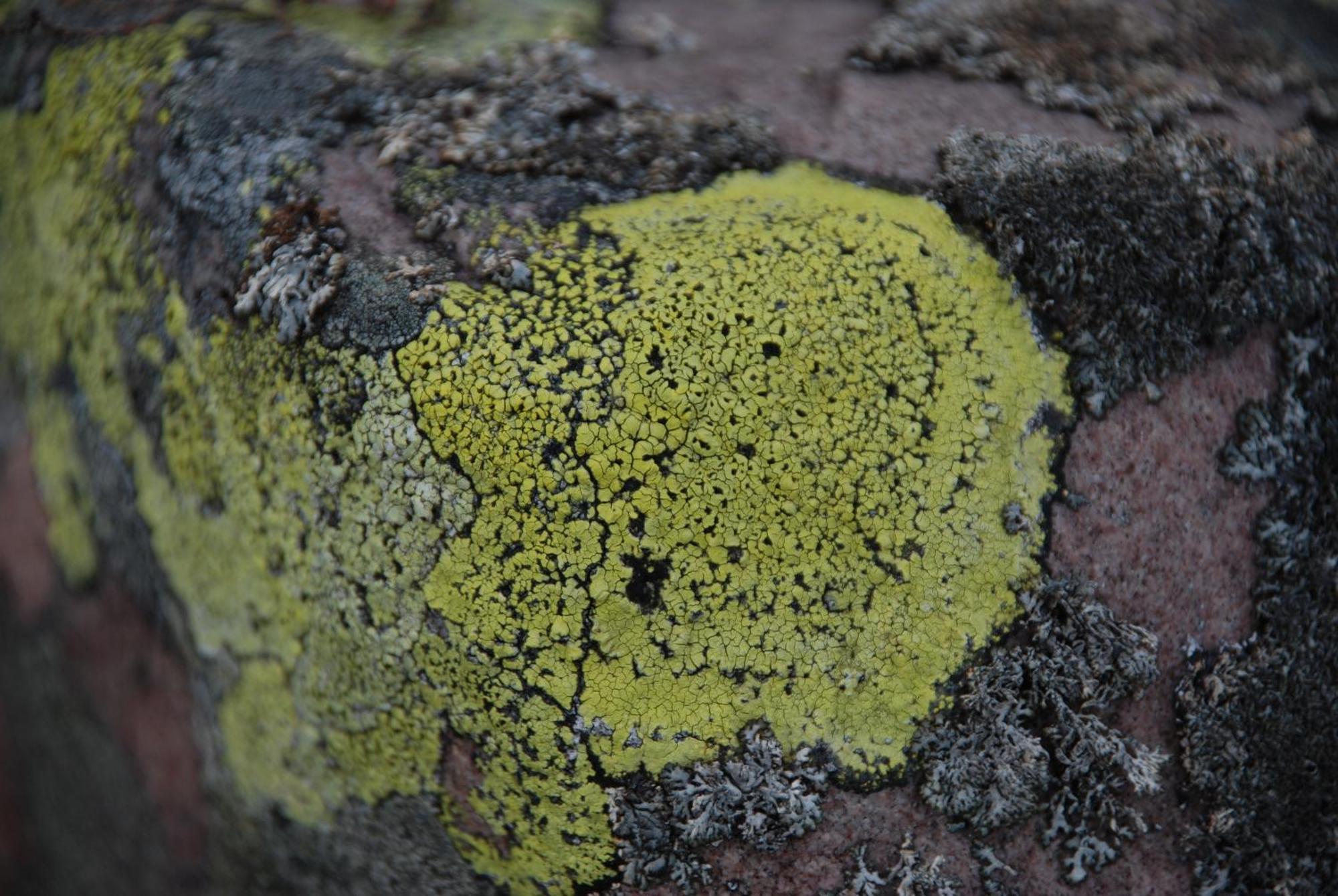 Hytte fra 1721 i naturskjønne omgivelser Ljørdal Eksteriør bilde