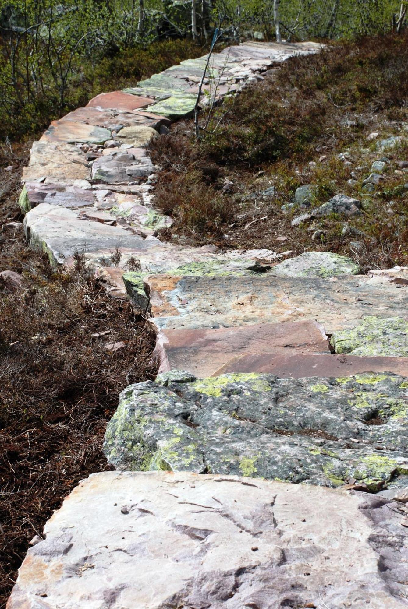 Hytte fra 1721 i naturskjønne omgivelser Ljørdal Eksteriør bilde