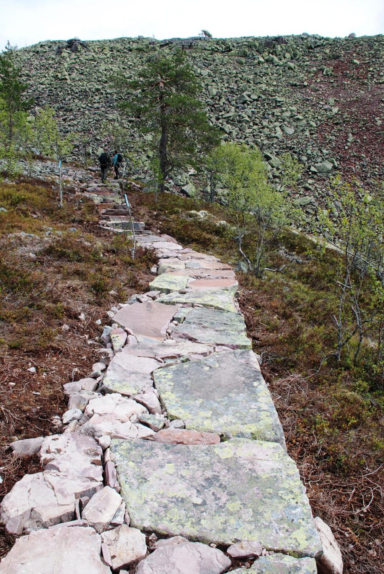 Hytte fra 1721 i naturskjønne omgivelser Ljørdal Eksteriør bilde