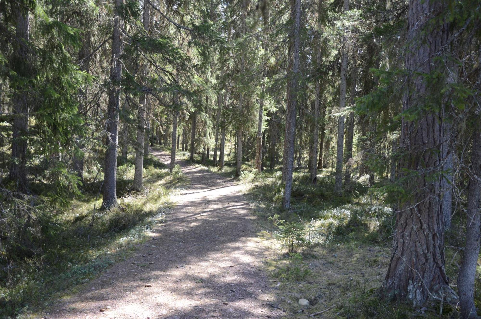 Hytte fra 1721 i naturskjønne omgivelser Ljørdal Eksteriør bilde