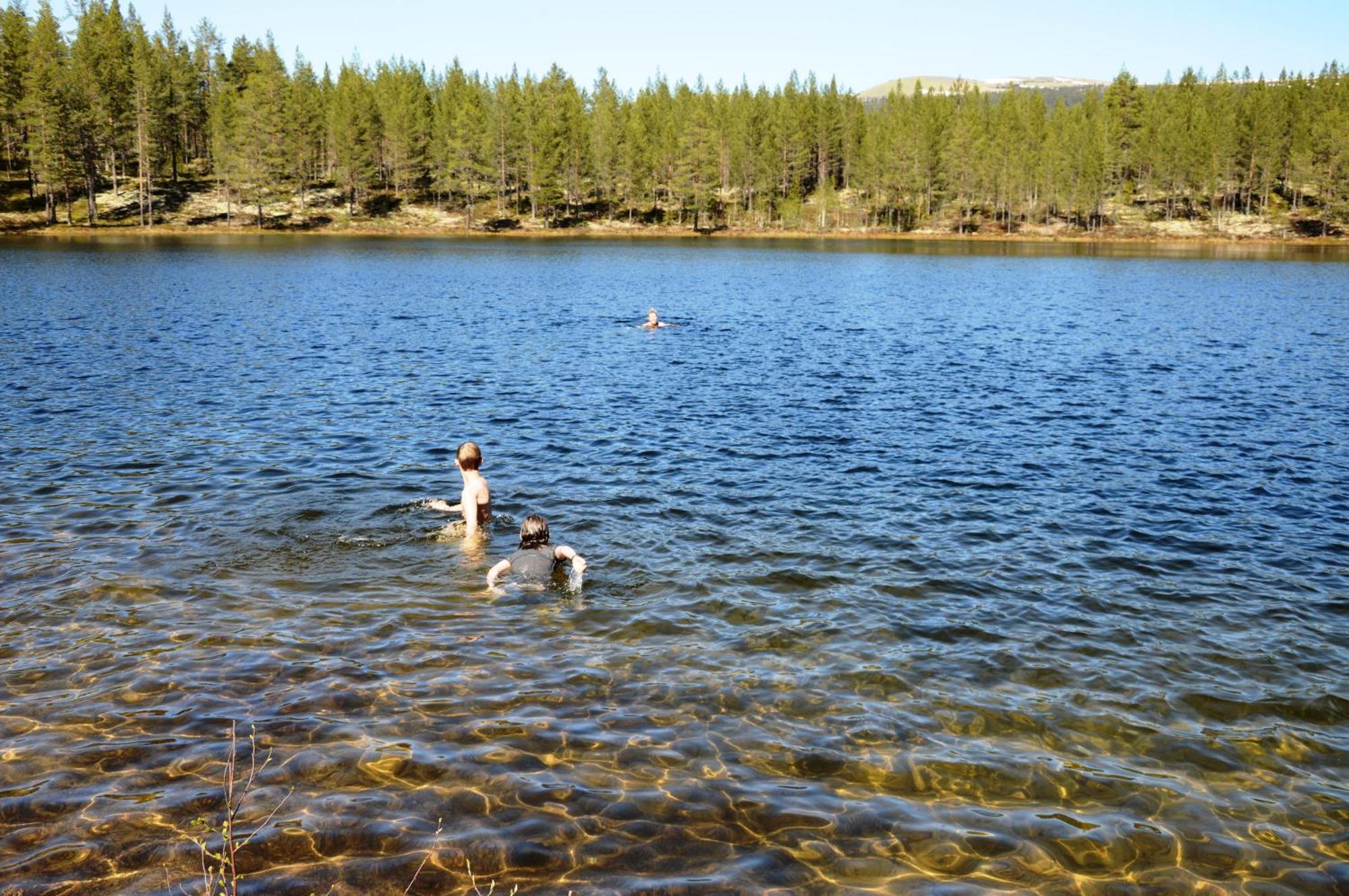Hytte fra 1721 i naturskjønne omgivelser Ljørdal Eksteriør bilde